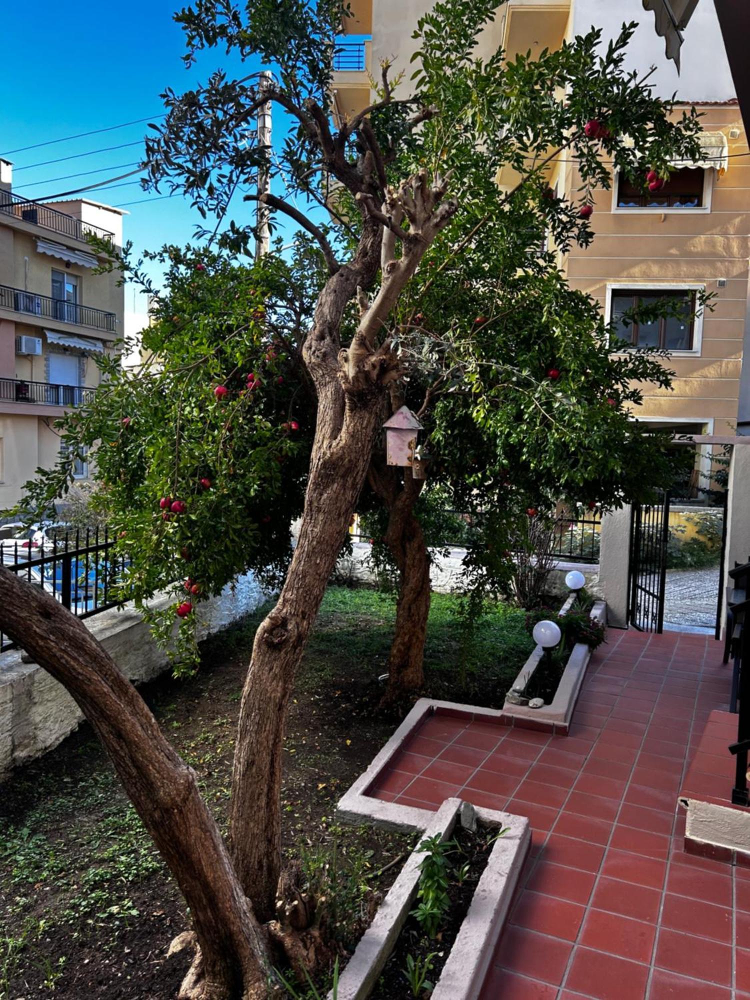 Elia Kavala
